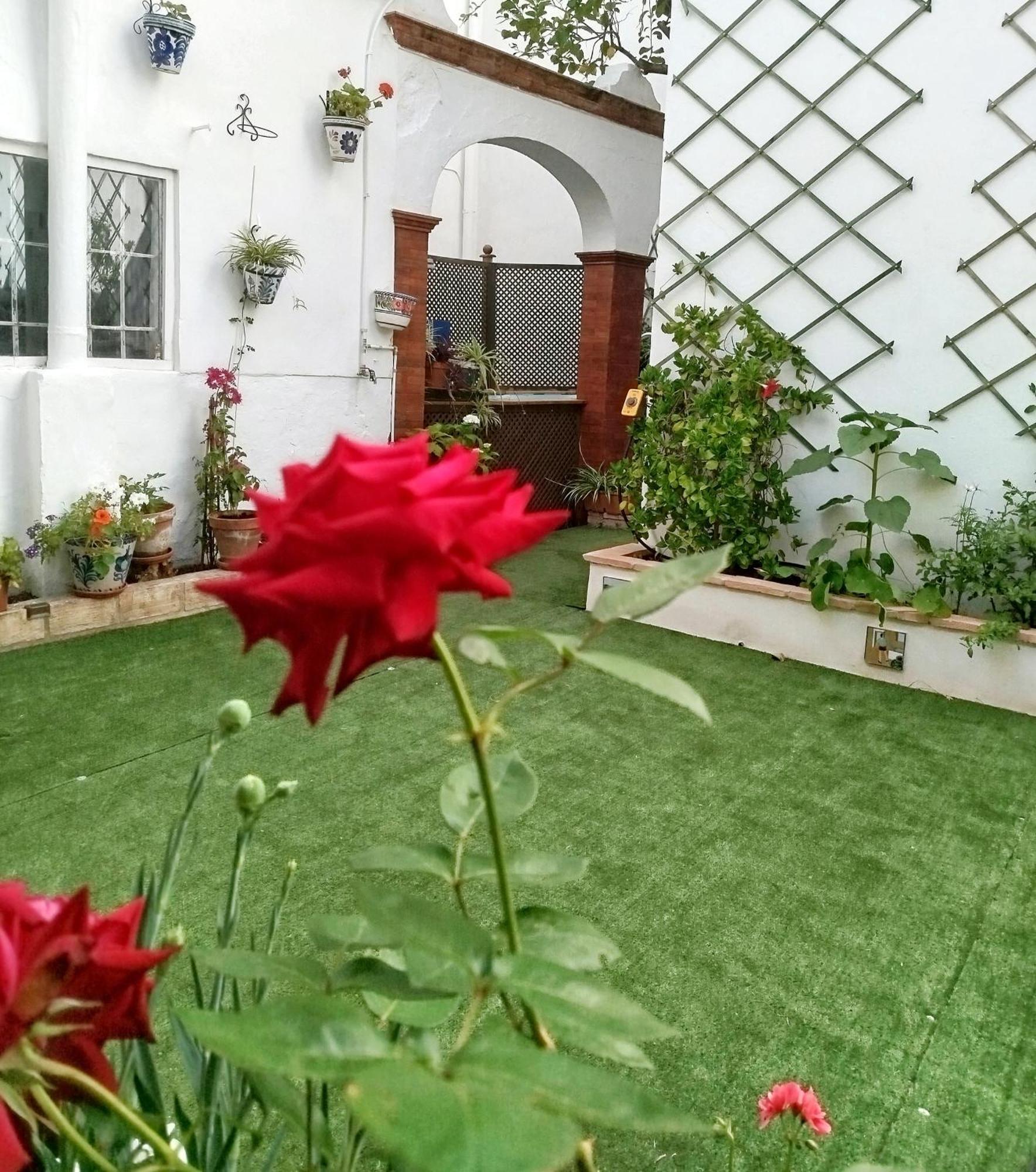 Casa Palacio Domus Astigi (Adults Only) إيثيخا المظهر الخارجي الصورة